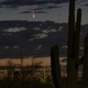 The comet as it appeared from Arizona on July 6, 2020.